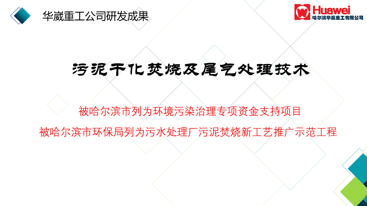 污泥干化焚烧技术介绍